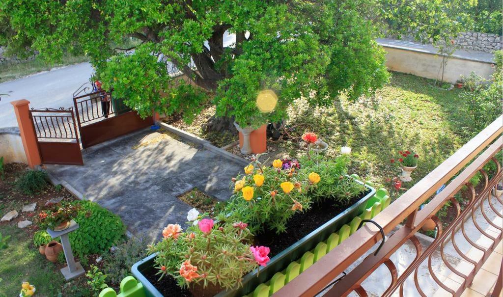 Apartmani Volga Petrčane Exterior foto